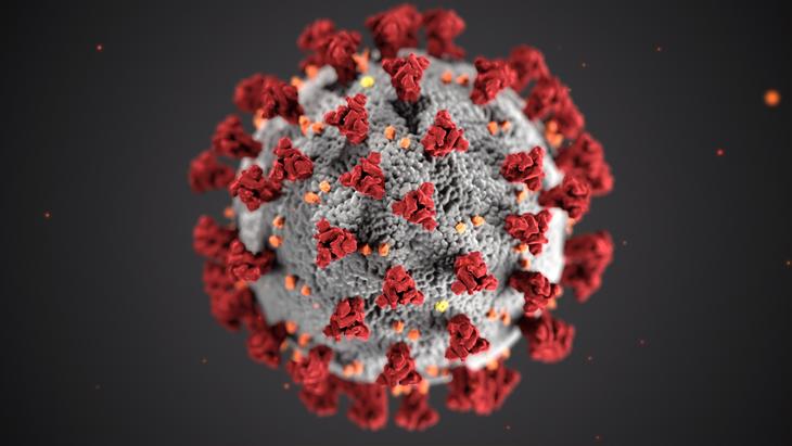 Photo by CDC on Unsplash Coronavirus. Photo by CDC on Unsplash
