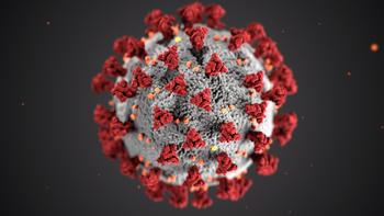 Coronavirus. Photo by CDC on Unsplash Coronavirus. Photo by CDC on Unsplash
